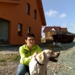 ten je�t� nen� n�-ale takhle bude vypadat Fido