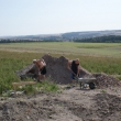 tohle se mus� p�eh�zet:-)