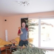 likvidace strome�ku