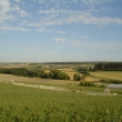 okol